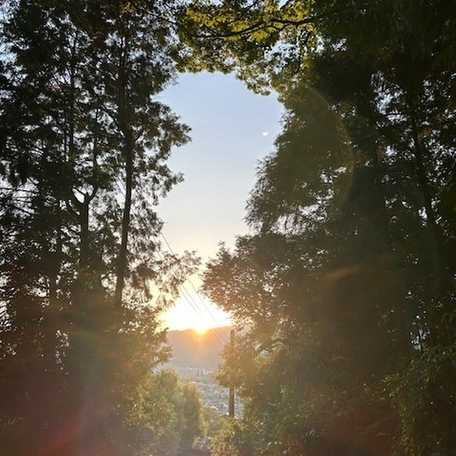 朝活
