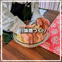 自宅で白味噌づくり