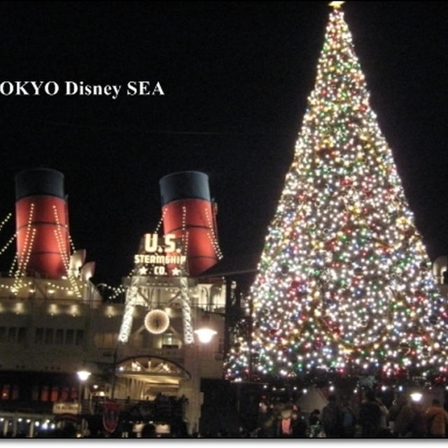 ママ友とディズニーシー・ナイト「クリスマス・ウィッシュ」☆