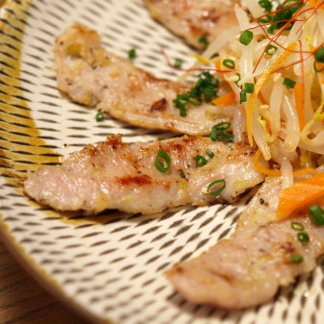 豚トロねぎ塩焼き、もやしナムル添え　＆　ブログ撮影機材