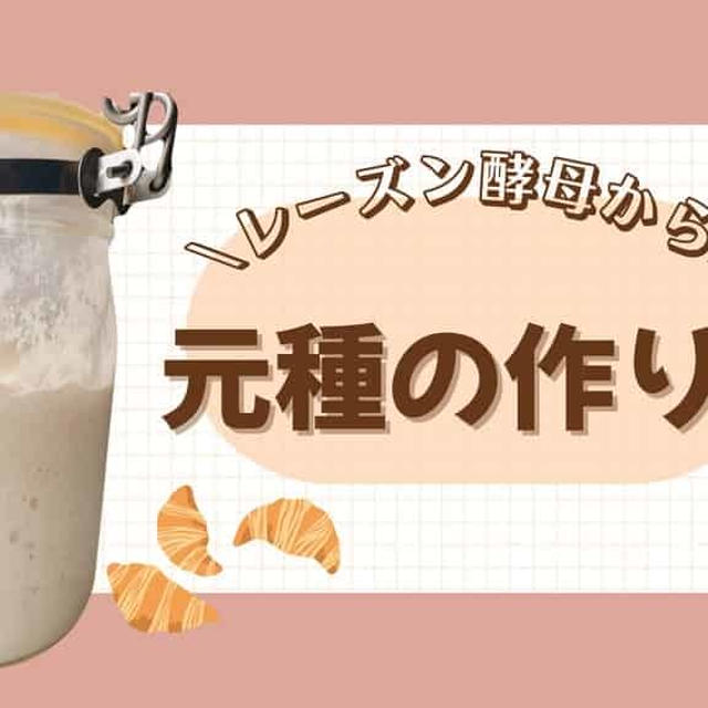 レーズン酵母で元種の作り方｜天然酵母パンを美味しくする基本工程