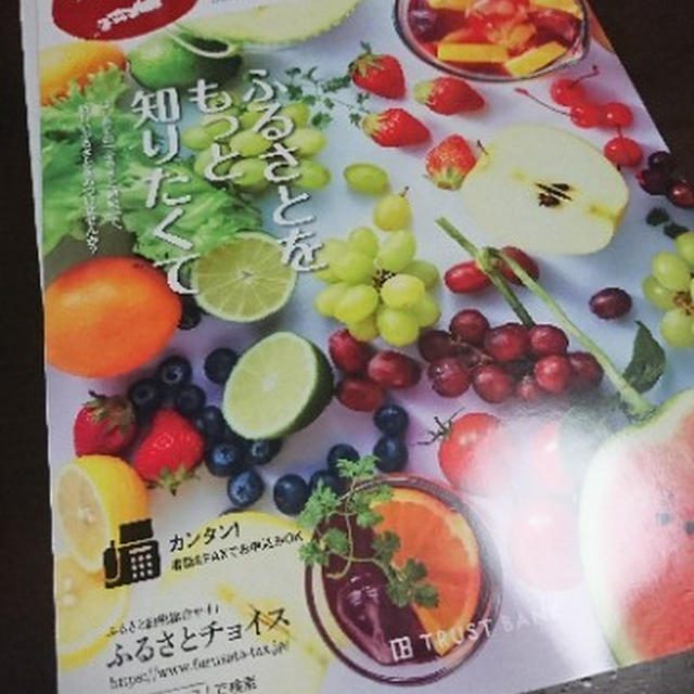 ふるさと納税カタログが来た♪
