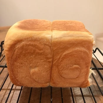 食パン◡̈*⑅