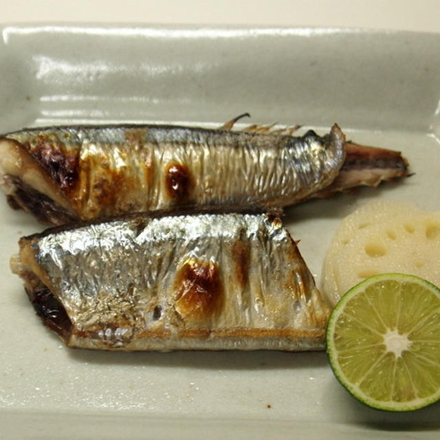 初秋刀魚