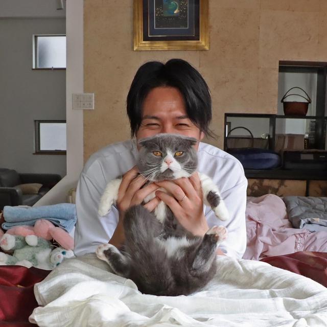 スーパー猫の日、だった昨日のこと