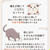 猫の日2月22日