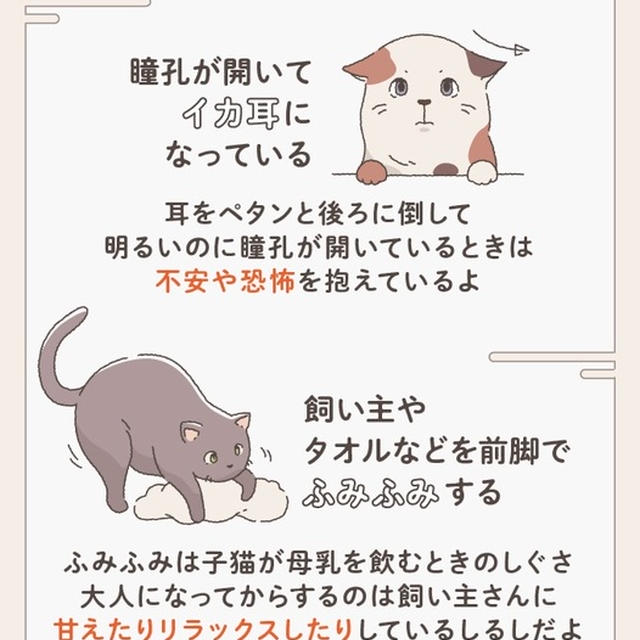 猫の日2月22日