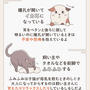 猫の日2月22日