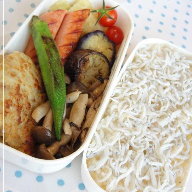 じゃこ弁当☆