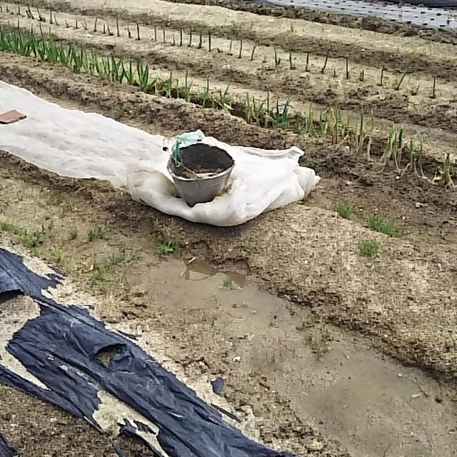 午前中また雨でしたね😃