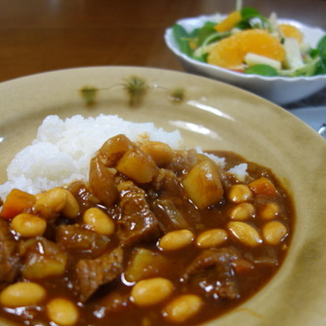 大豆カレー