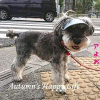 ブログお引越しのお知らせ