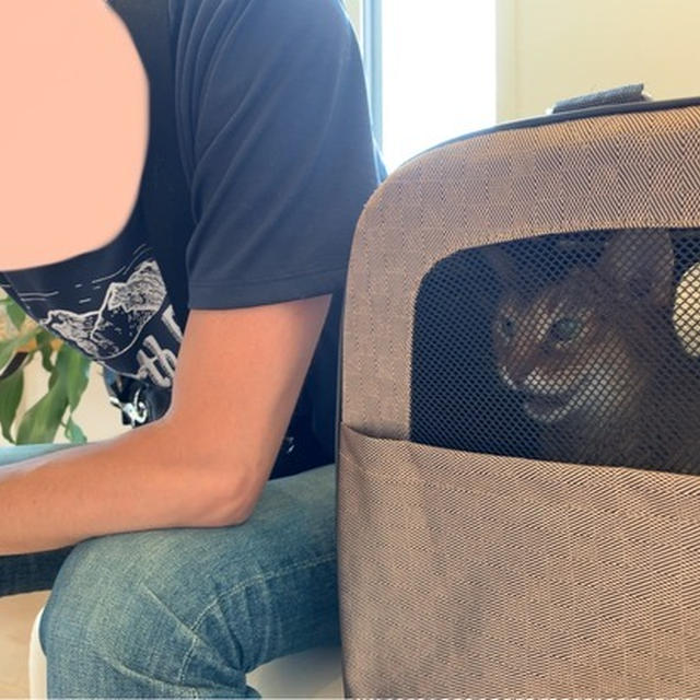 ちび子の病院へ行ってきました