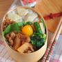 ママ弁「たけのこご飯のお弁当」