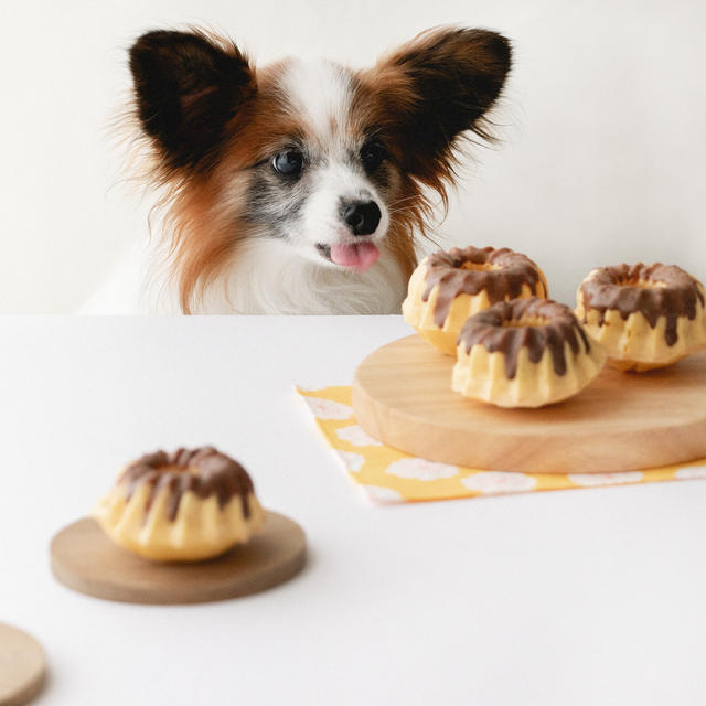プリンみたいな犬用のミニたまごケーキ（手作り犬おやつレシピ）
