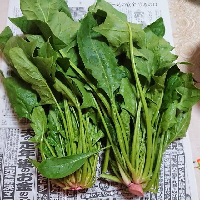 自家製お野菜でお鍋の箸休め・・・♪