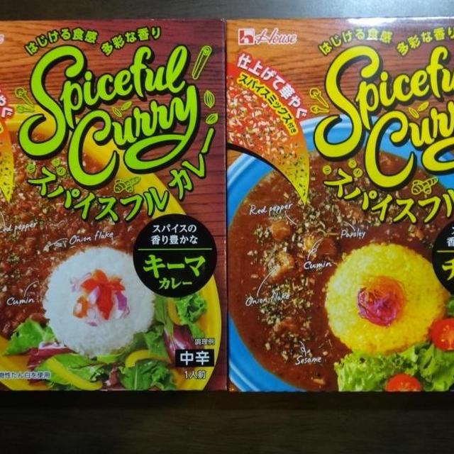 スパイスフルカレー 感想