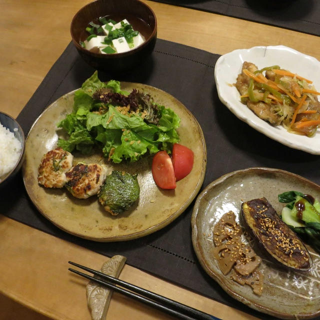 つくねバーグ＆鯵の南蛮漬けの晩ご飯　と　いろいろな紫陽花の花♪