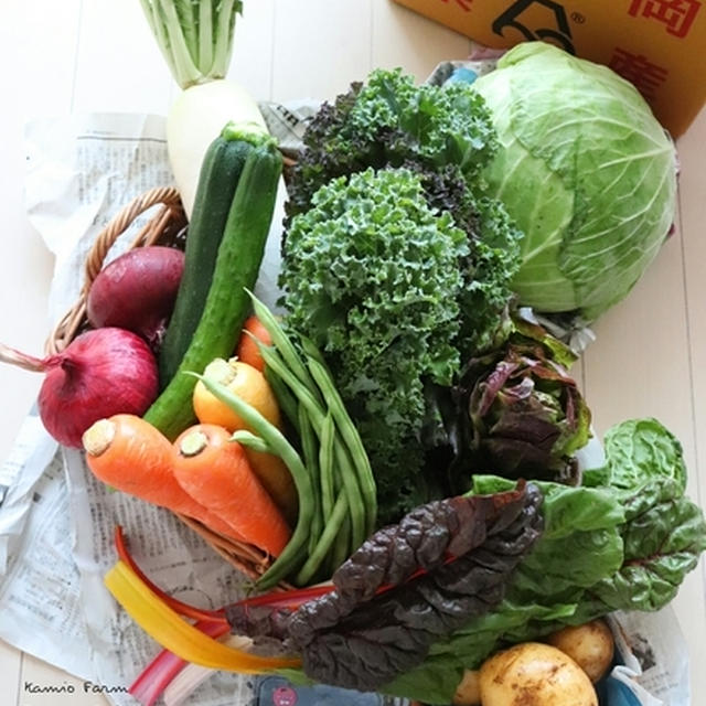 神尾ファームのお野菜を楽しむ