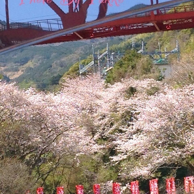 春満喫の親孝行①「つくしの坊やは？」
