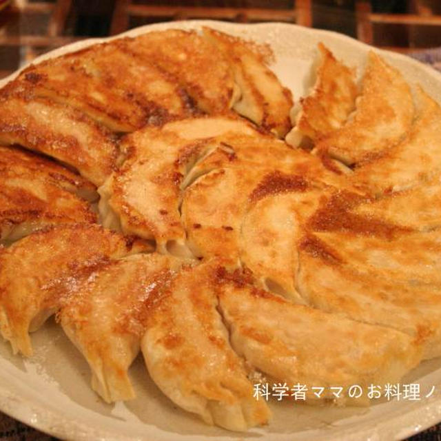 お料理のアレンジ術リスト☆定番料理のバリエーション＜餃子＞
