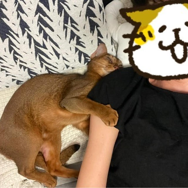 カラーを外して伸び伸びりす(*´ω`*)