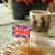 イギリスの代表スコーン♪