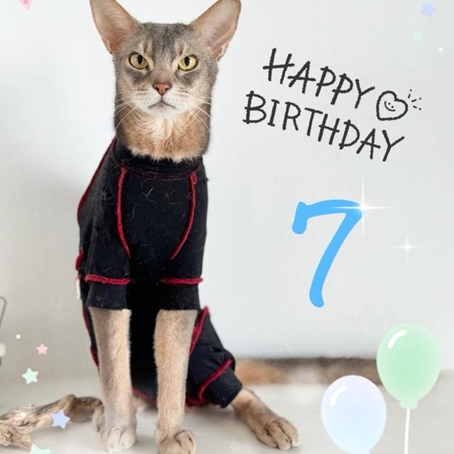 との男、7歳になりました
