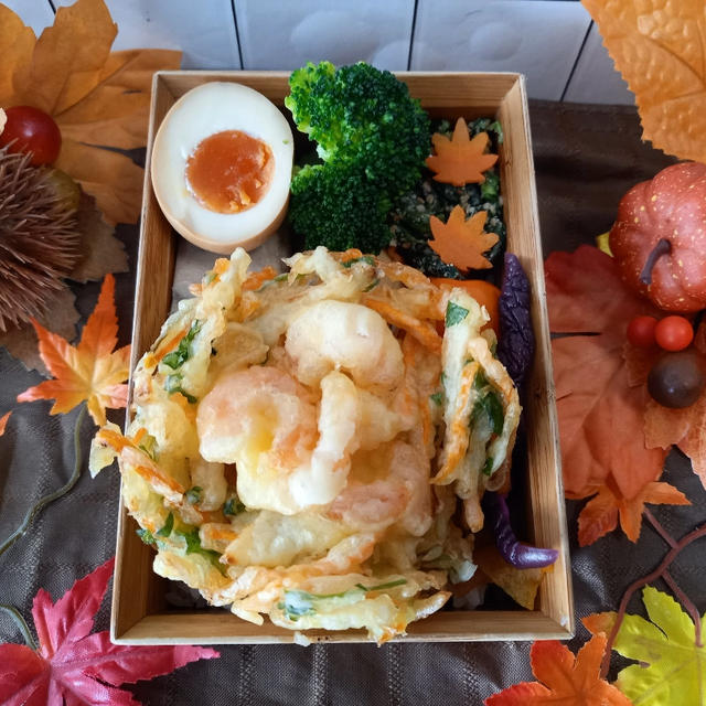 かき揚げのっけ弁当〖普通弁当〗