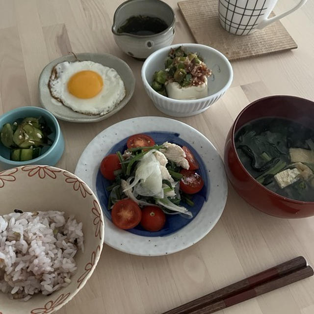 できたてホヤホヤ〜