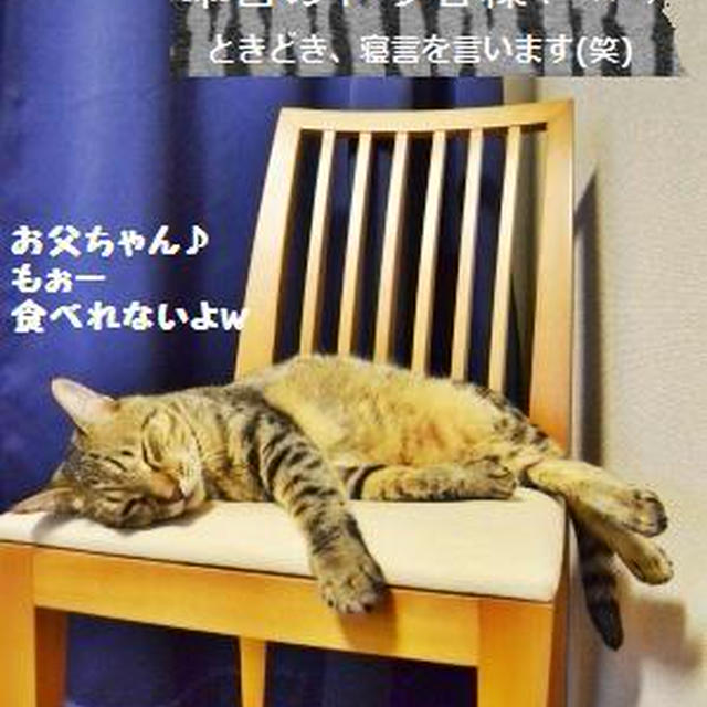 【私信】旦那様へ。。。