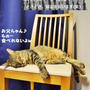 【私信】旦那様へ。。。
