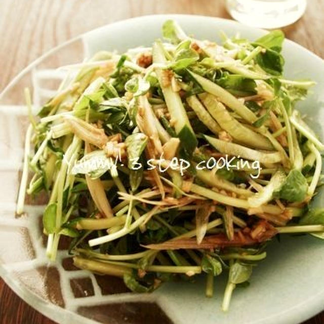 おかずにもおつまみにも！豆苗とキュウリで♪うま辛タレのシャキシャキ中華サラダ