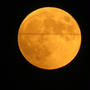 今夜は皆既月食を観察しました。寒かった～。