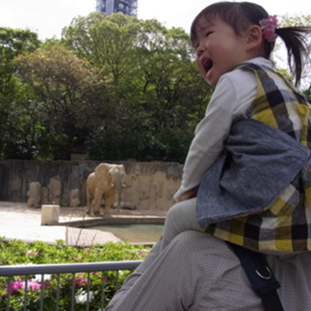 いっちゃん念願の動物園☆