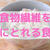 【効率よく簡単】食物繊維を手軽にとるのにおすすめの食べ物
