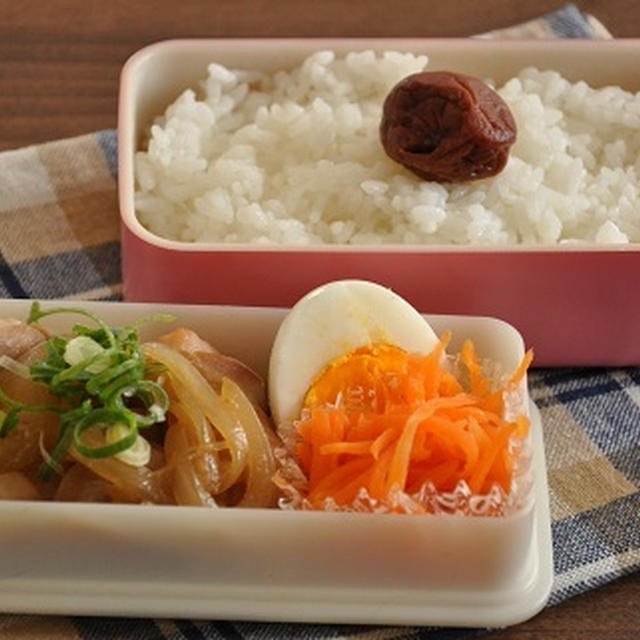 ごはんにも合う♩作りおきおかずを詰めるだけのお弁当