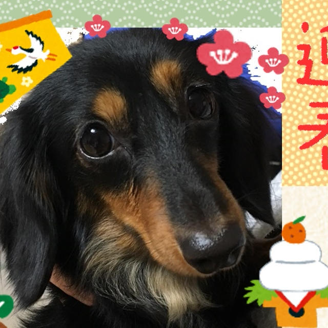 新年明けましておめでとうございます！！