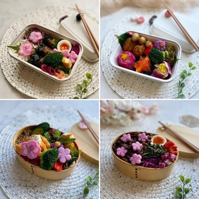 先週のお弁当のふり返り〜