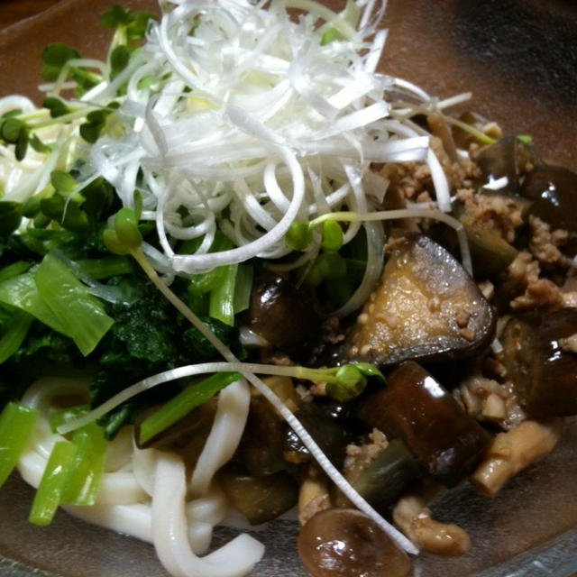 肉味噌茄子の冷やしうどん♪　～お昼はワンデッシュで簡単に♪～