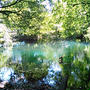 エメラルドグリーンの池