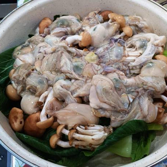 縁起担ぎで鮭の遡上を見る ～ 牡蠣の蒸し鍋が緑に染まる トホホホ鍋に