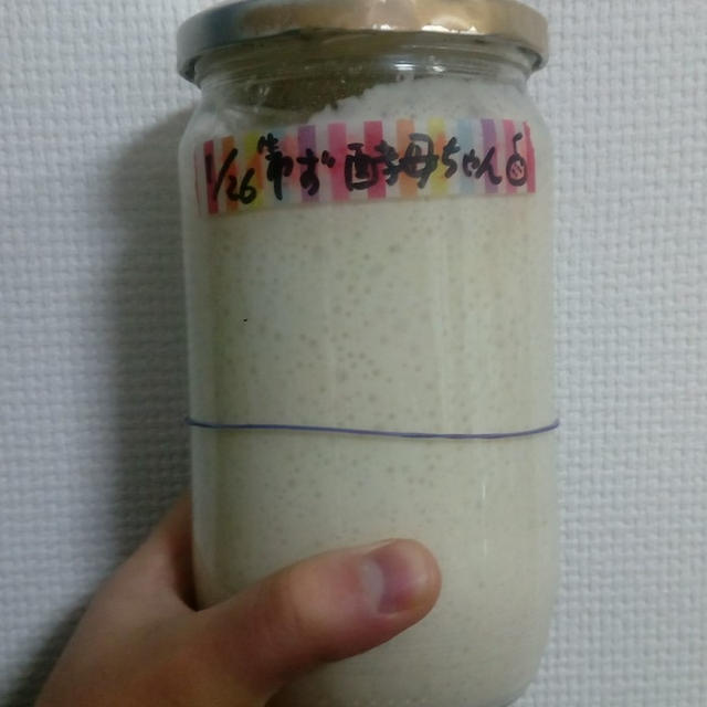 自家製酵母の元種の作り方と管理方法！液種で仕込むパンとの違いは？