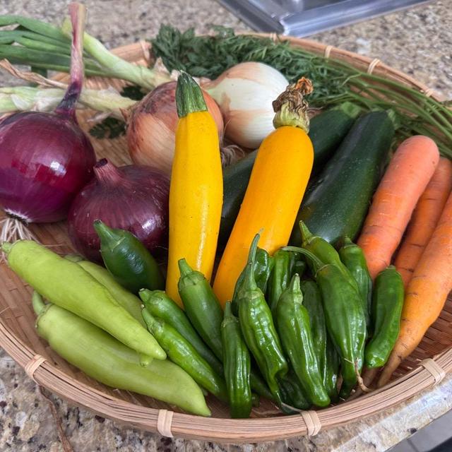 農場で野菜収穫〜　癒される週末