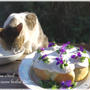 猫のバースデーケーキにキャットミントのパンケーキ