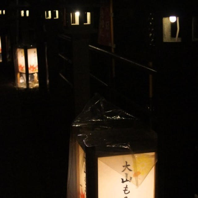 ■ウォーキング【大山紅葉祭り⑤帰途ケーブルカーからの眺めも幻想的➡外ご飯】