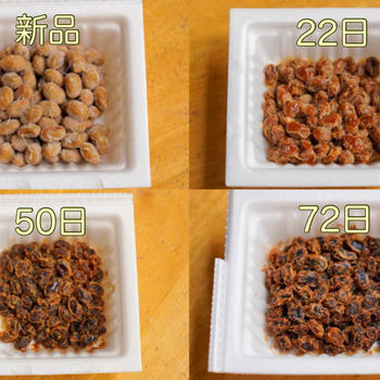 納豆を真夏に72日常温放置するとどうなるか