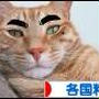 ちょこっと近況報告