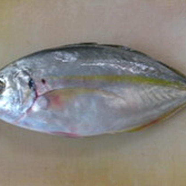 シマアジのおろし方（三枚おろし）