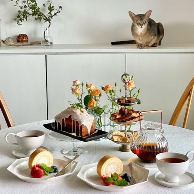 お家猫カフェと、パパッと夜ごはん